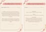 design a premium brand style guide